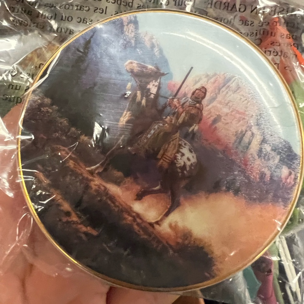 Native American collectors plate 6